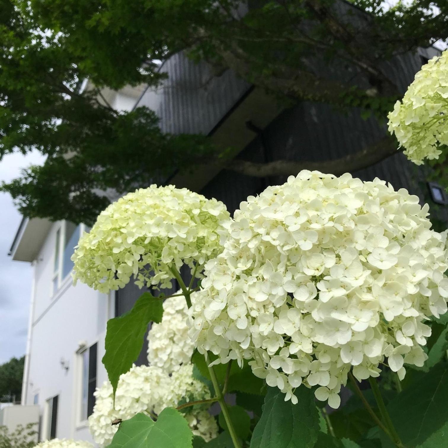 Sweet Villa Takasama - Vacation Stay 11775 Fujiyoshida Exterior photo